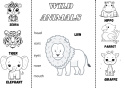 4 Animal Lapbooks