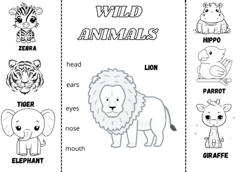 4 Animal Lapbooks 4 Animal Lapbooks