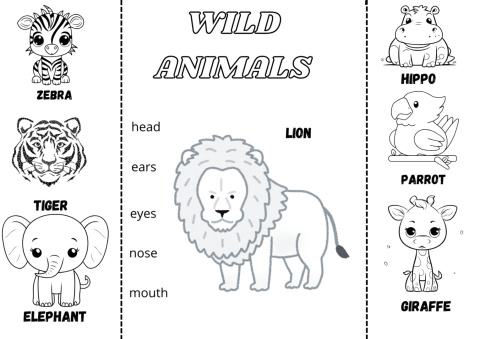 4 Animal Lapbooks 4 Animal Lapbooks