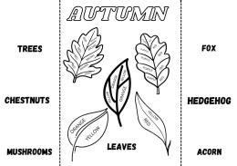 Autumn lapbook