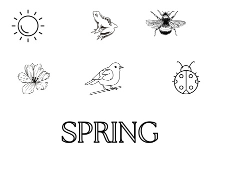 SPRING LAPBOOK SPRING LAPBOOK